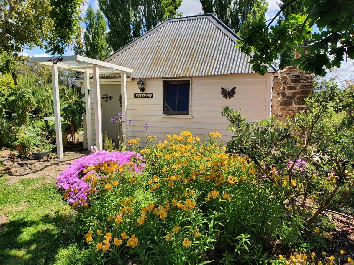 Belmont Homestead สวอนซี ภายนอก รูปภาพ